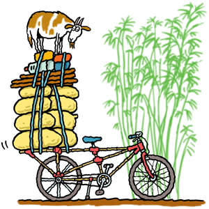 Bikes