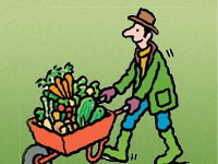 Harvest